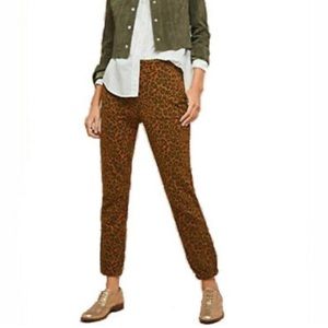 Anthropologie Sanctuary leopard moto joggers NWT